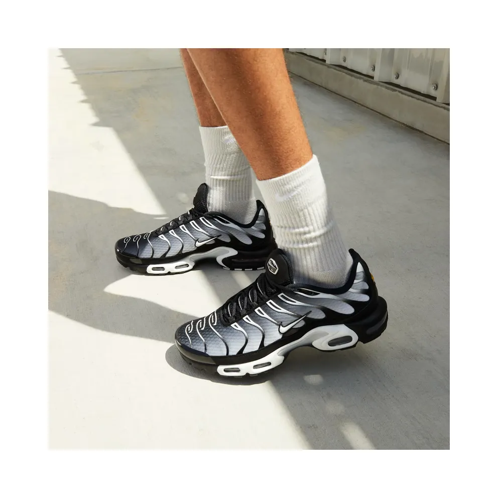 Nike Air Max Plus “Black / Silver” (DM0032-003)