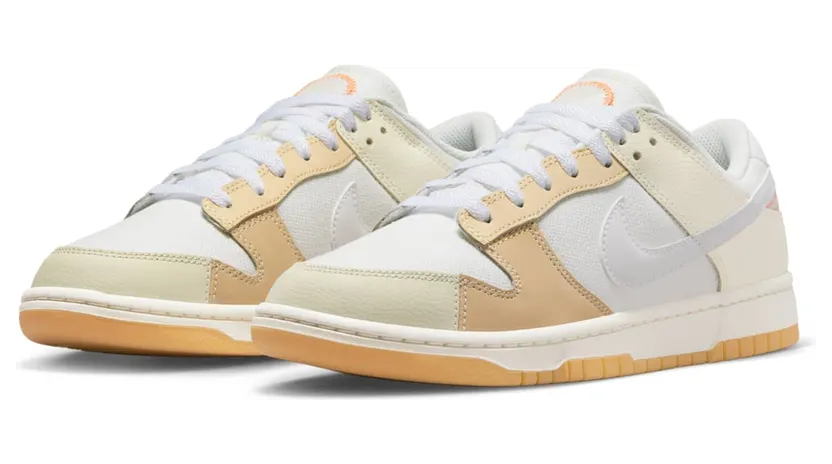 nike-dunk FJ5475-100