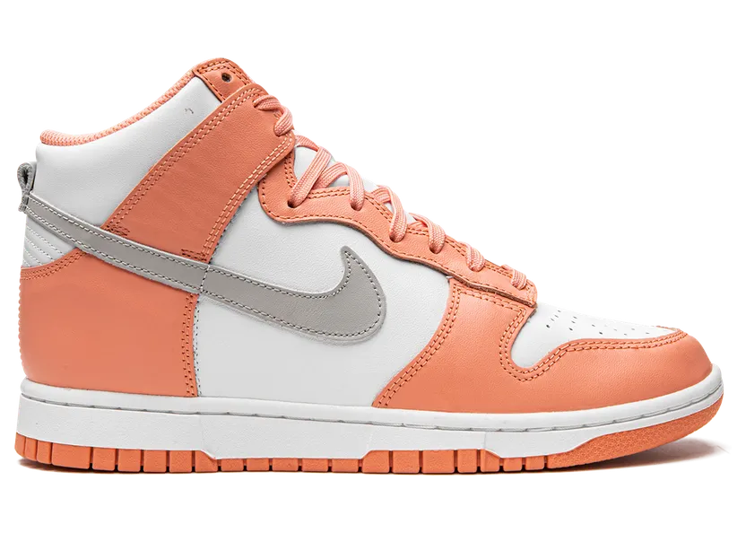 nike-dunk DD1869-600