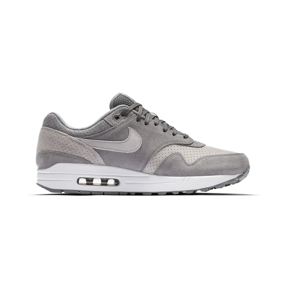 Nike Air Max 1 Cool Grey Wolf Grey (2018) (875844-005)