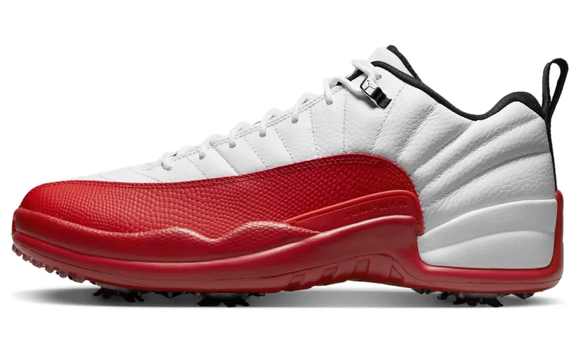 Air Jordan 12 DH4120-161