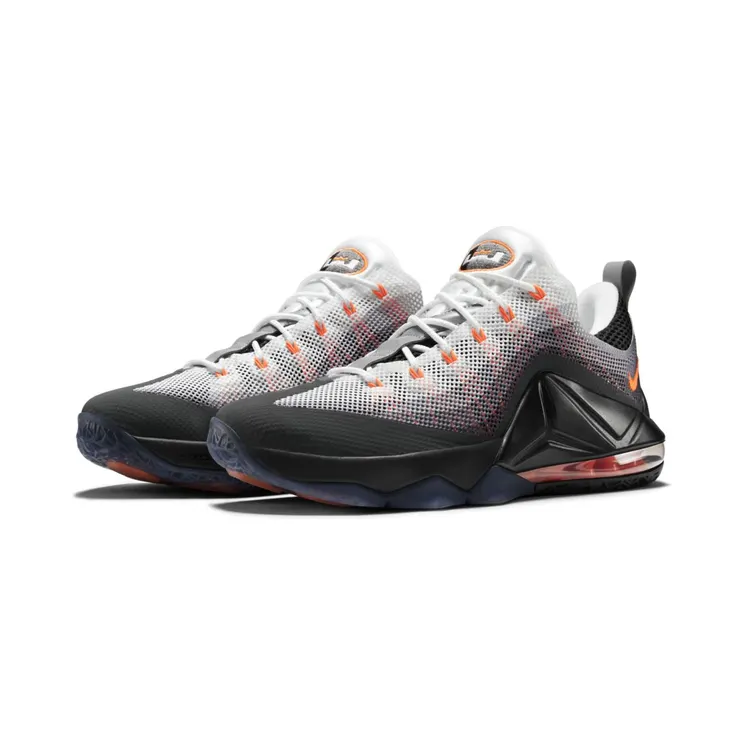 Nike Air Max 95 LeBron 12 Low