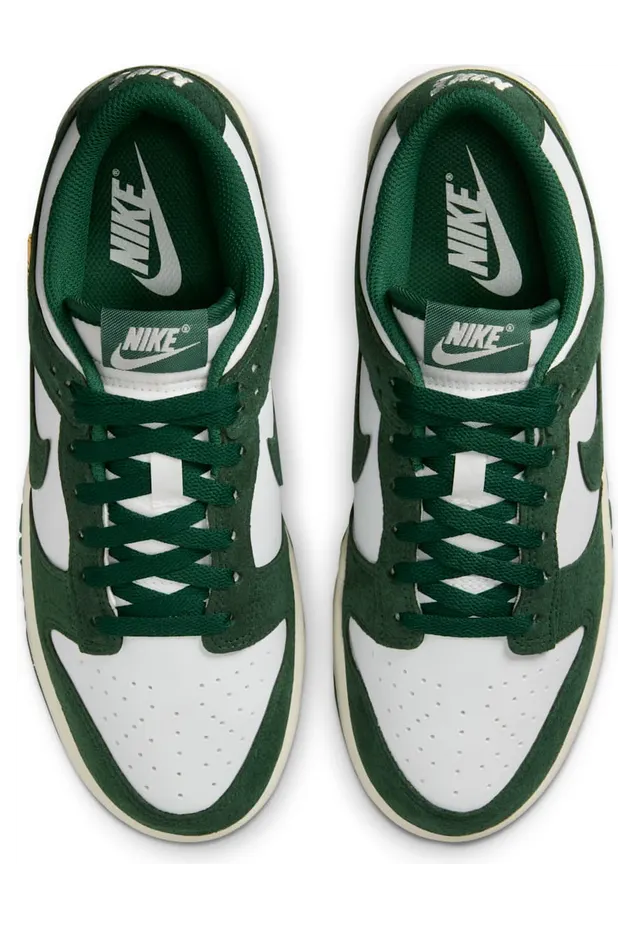 nike-dunk IB4417-100