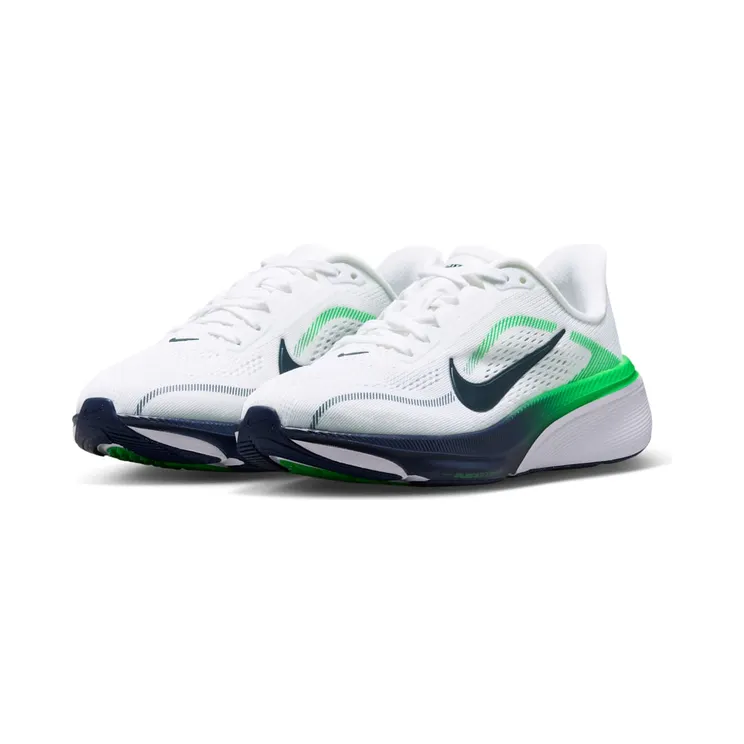 nike-air-pegasus IH2306-102
