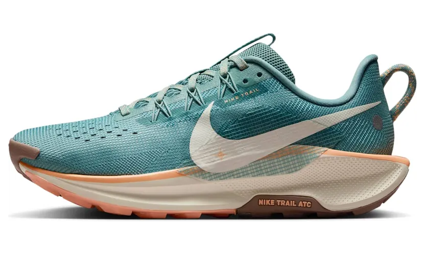 nike-air-pegasus DV3865-010