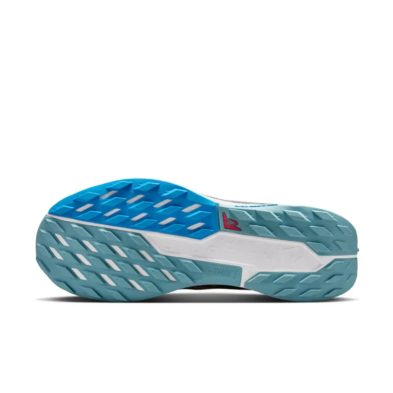 Nike Pegasus Trail no-color-found (DV3864-400)
