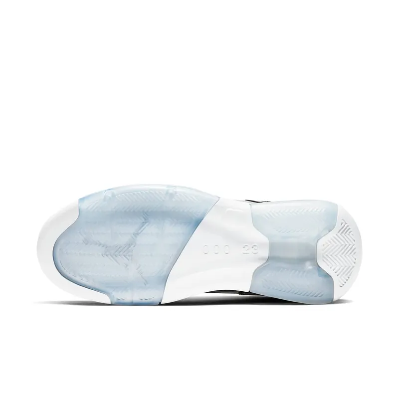 Jordan Maxin 200 White Ice (CZ9174-100)
