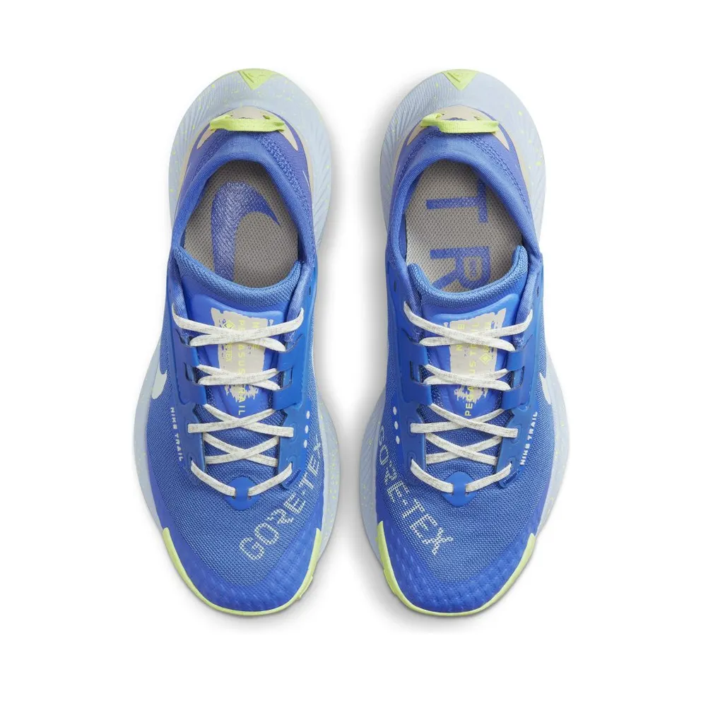 Nike Pegasus Trail 3 GORE-TEX Waterdichte Trail Running Shoes for Women Blue (DC8794-400)