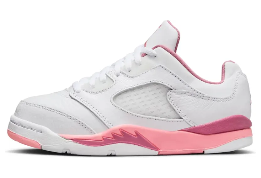 Air Jordan 5 Low DX4389-116