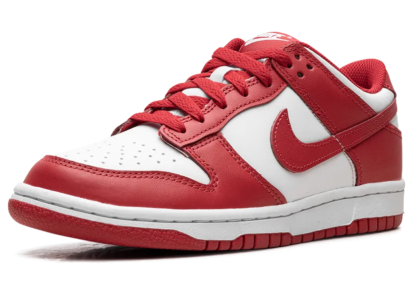 nike-dunk FB9109-119