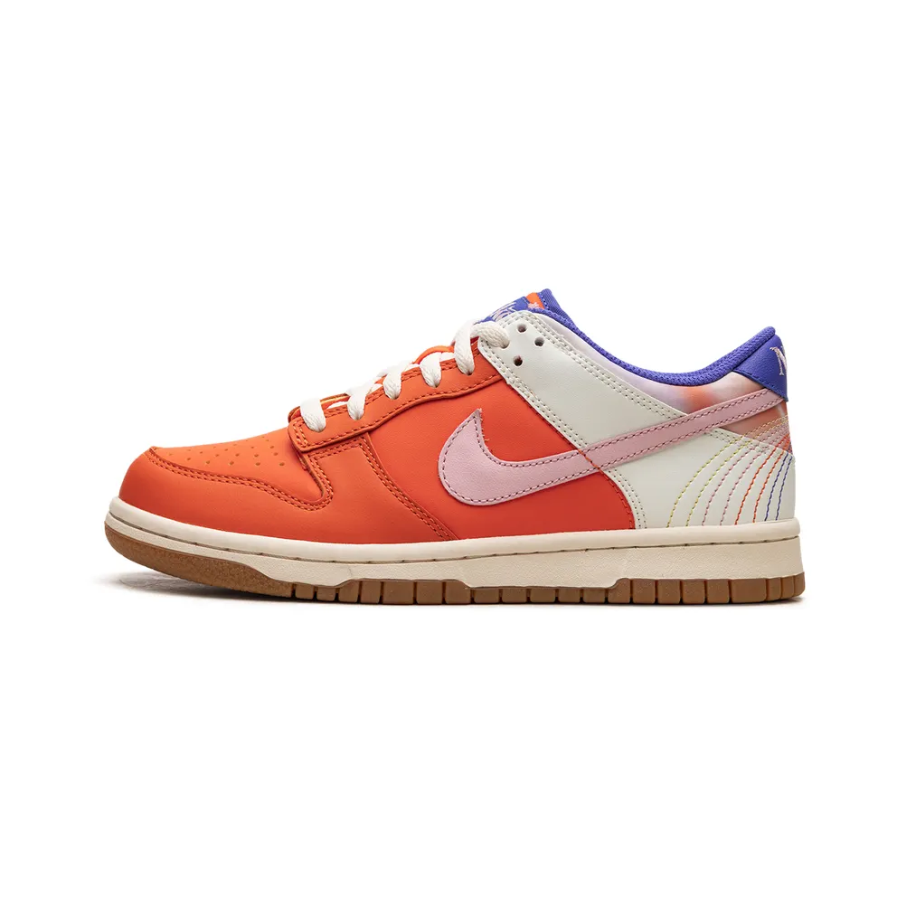 Nike Dunk Low GS “Everything You Need” (FN0600-801)