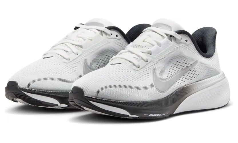 nike-air-pegasus IR4146-100