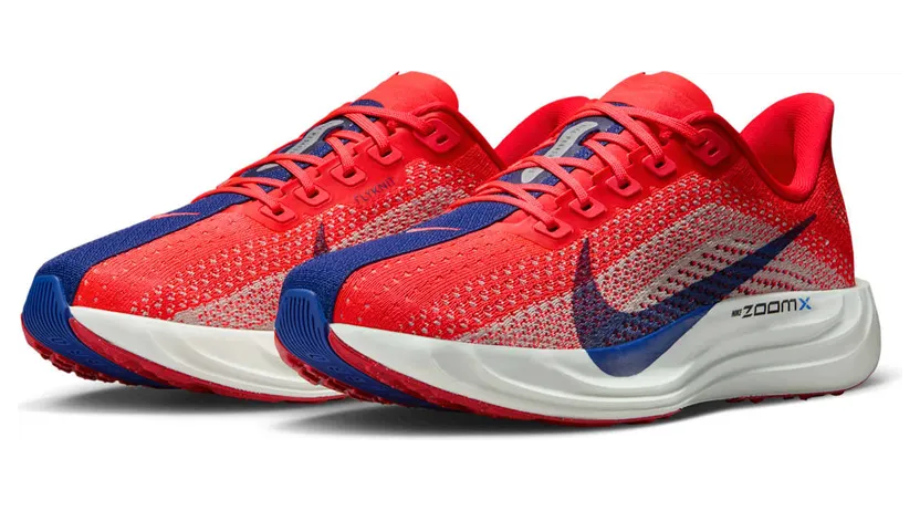 nike-air-pegasus FQ7261-602