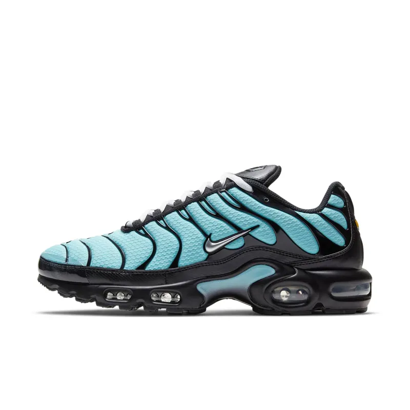Nike Air Max Plus Aqua Blue (CV8838-400)