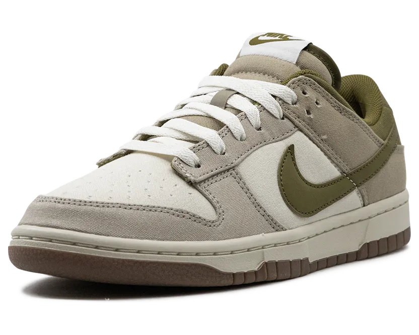 nike-dunk HF4262-133