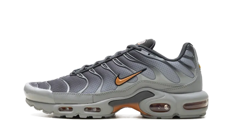 Nike Air Max Plus “Light Smoke Grey Hot Curry” (DM0032-037)