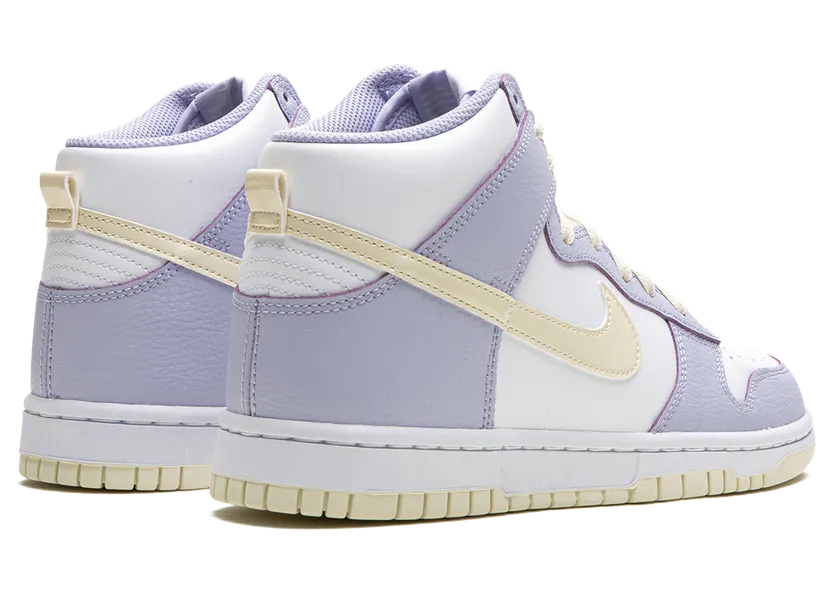 nike-dunk FN3504-100