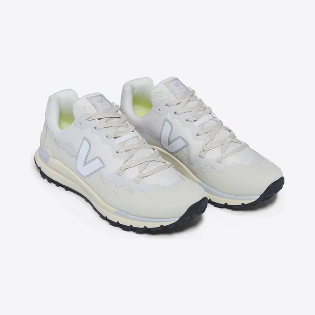 veja-fitz-roy FR2303556A