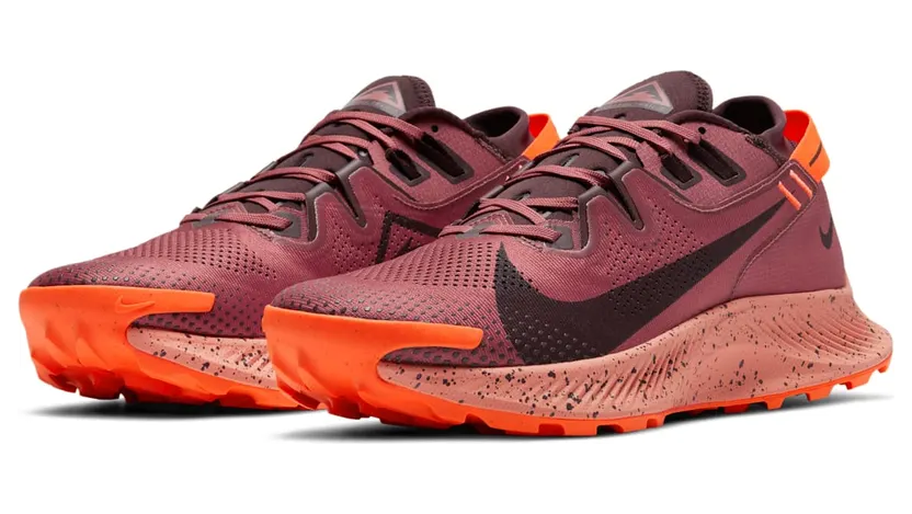 nike-air-pegasus CK4305-601