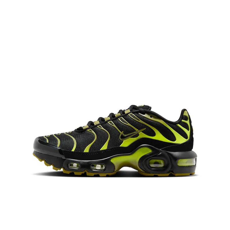 Nike Air Max Plus Black Cyber (CD0609-028)