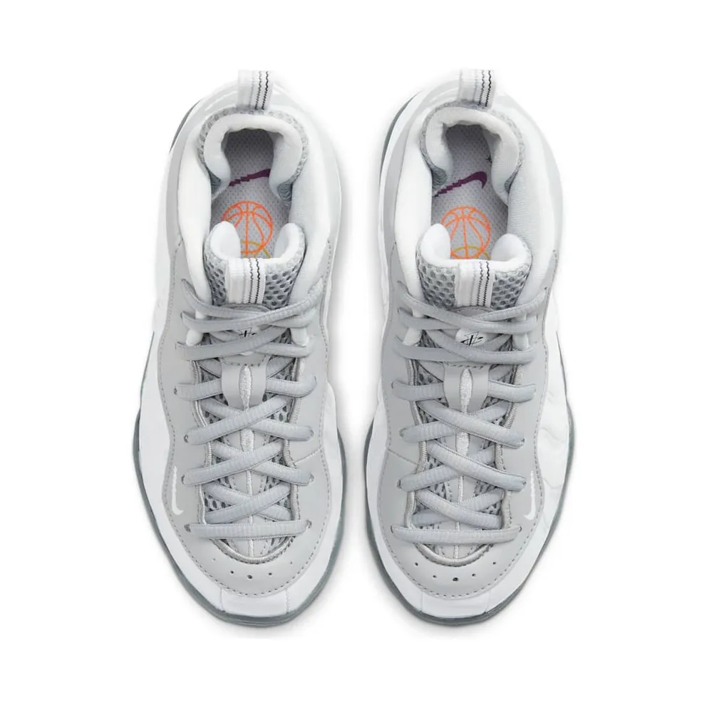 Nike Air Foamposite One Light Smoke Grey (PS) Light Smoke Grey/White-Blue Fury (CU1055-001)