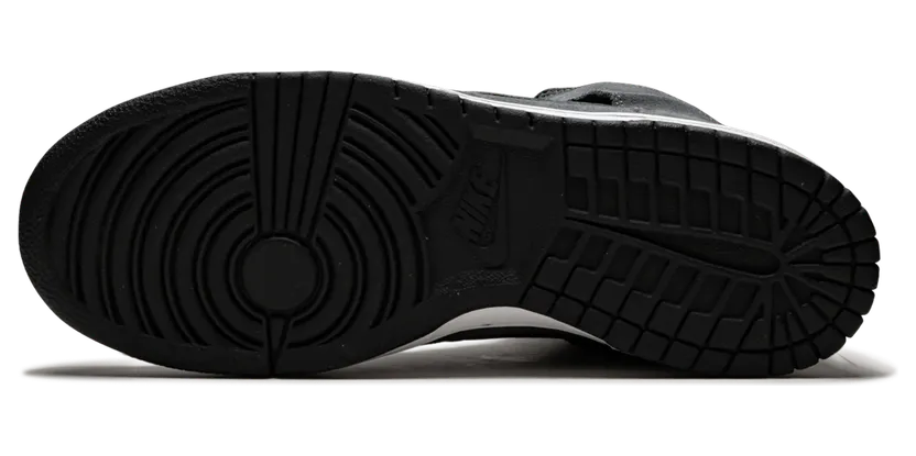 nike-dunk 313171-007
