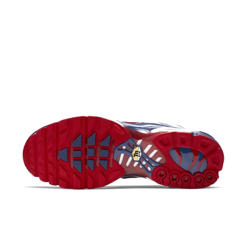 Nike Air Max Plus White Red Blue White/Gym Red (CJ9928-100)