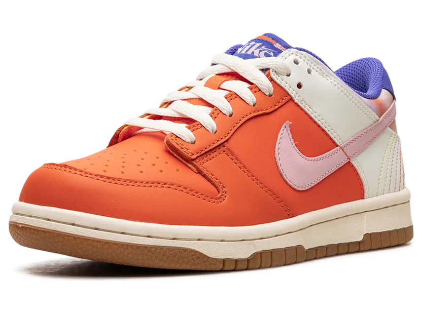 nike-dunk FN0600-801