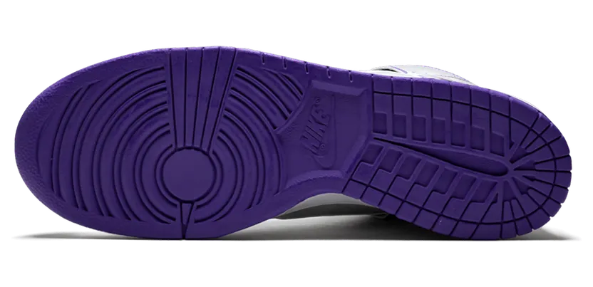 nike-dunk 313171-003