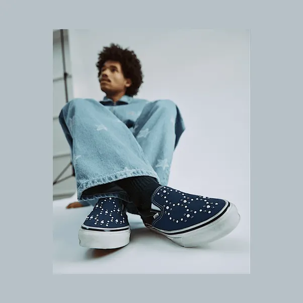 vans-slip-on VN000D9PIND