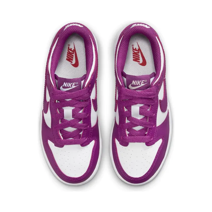nike-dunk FB9108-110