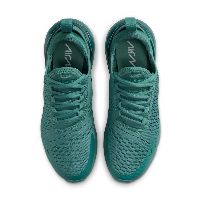 Nike Air Max 270 Bicoastal (HF5127-361)