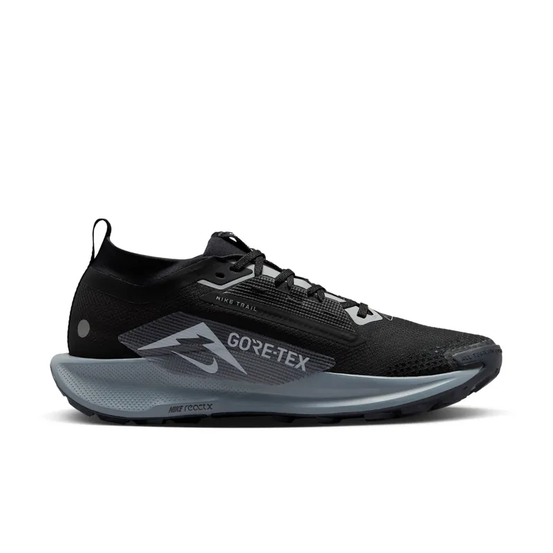 Nike Pegasus Trail 5 “Gore Tex Black” (FQ0908-001)