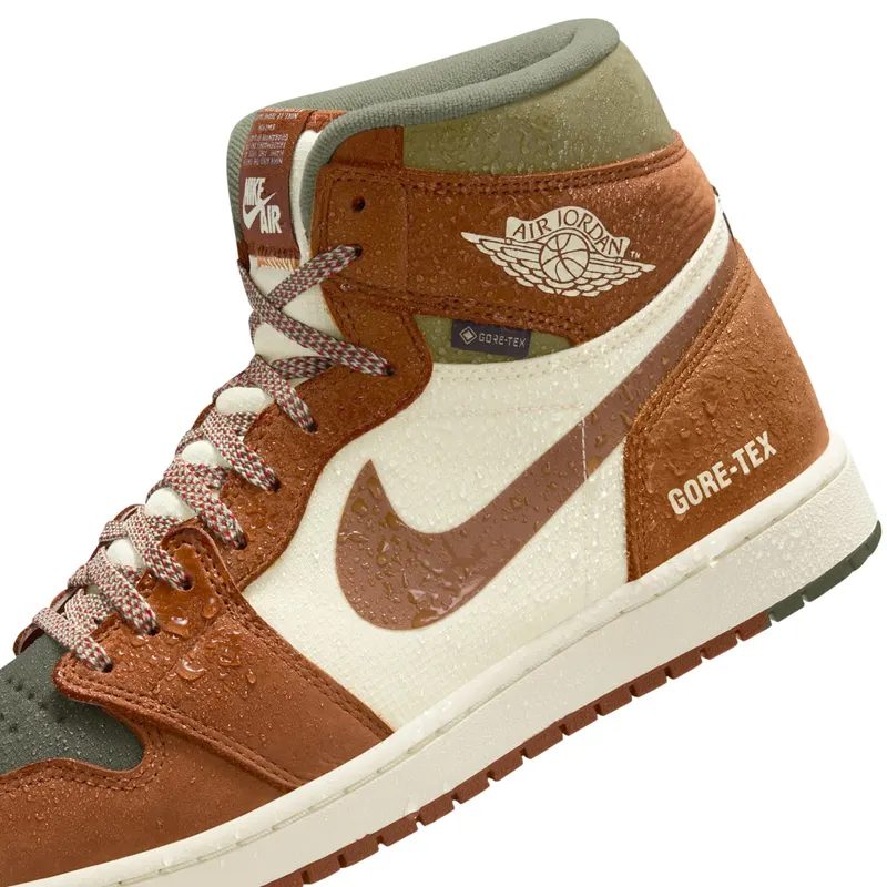 air-jordan-1 DB2889-102