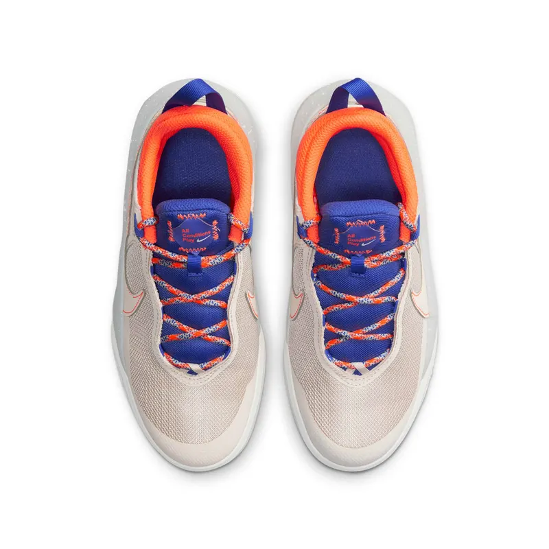 Nike Team Hustle D10 SE GS “Desert Sand” (CZ4179-001)