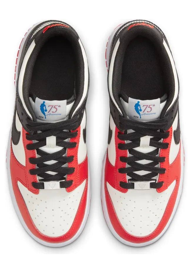 nike-dunk DO6288-100