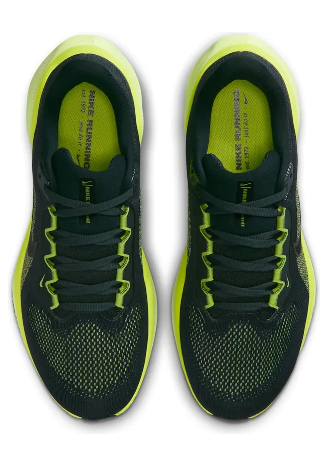 nike-air-pegasus FD2723-302