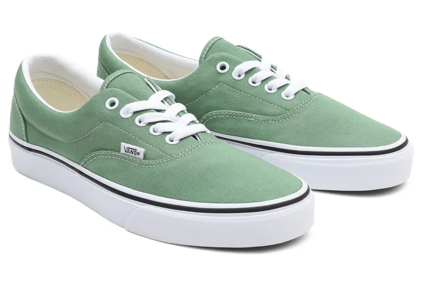 VANS Era Schoenen Groen (VN0A54F14G6)