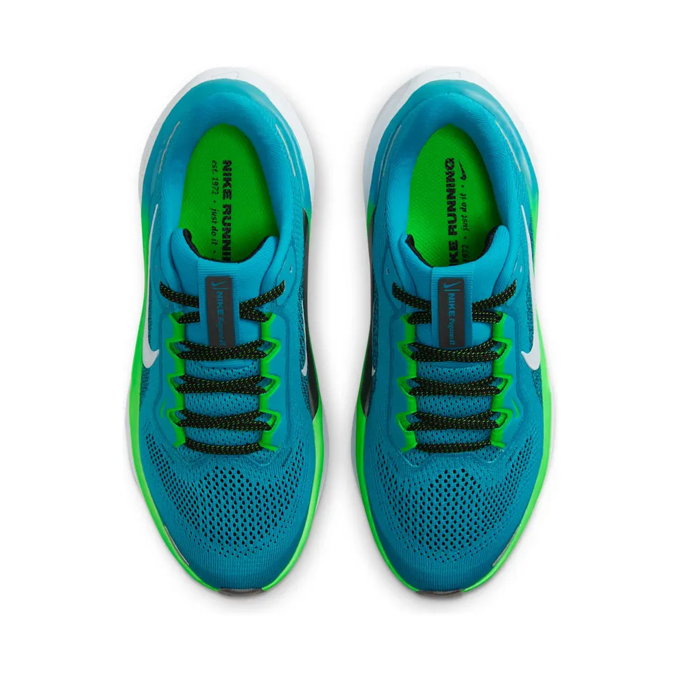 Nike Air Zoom Pegasus 41 Aquamarine Black Green Strike Football Grey (FN5041-300)