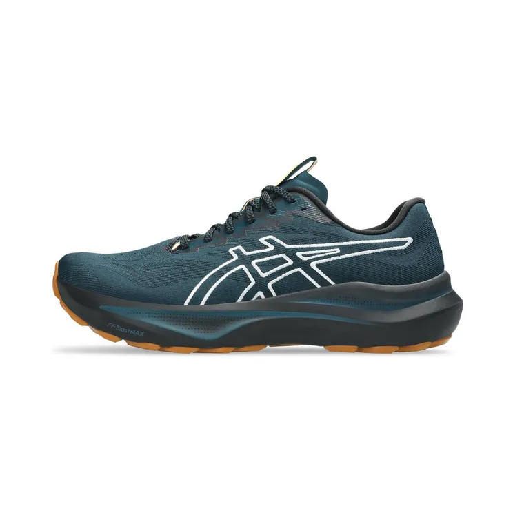 asics-gt-2000-2 1011C129-300