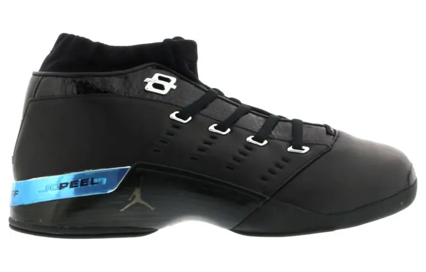 air-jordan-17 303891-004