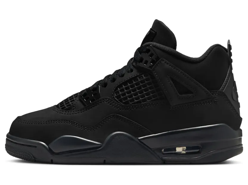 Air Jordan 4 IB4171-010
