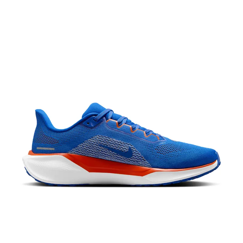 Nike Air Zoom Pegasus 41 Florida (FZ5113-400)