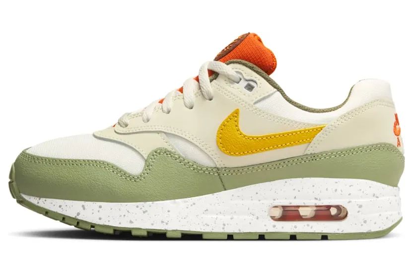 Nike Air Max 1 SE FV3646-171