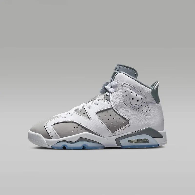 Air Jordan 6 GS “Cool Grey” (384665-100)