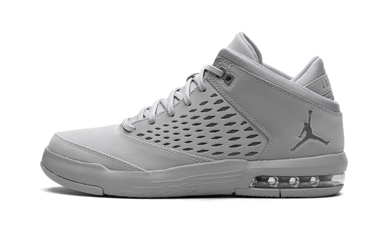 Jordan FLIGHT ORIGIN 4 “Cool Grey” (921196-005)