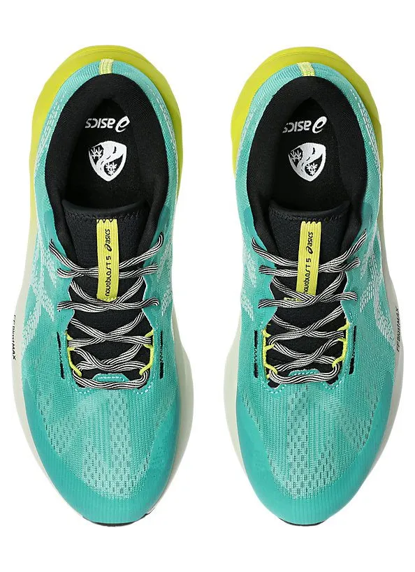 asics-novablast 1011C217-300