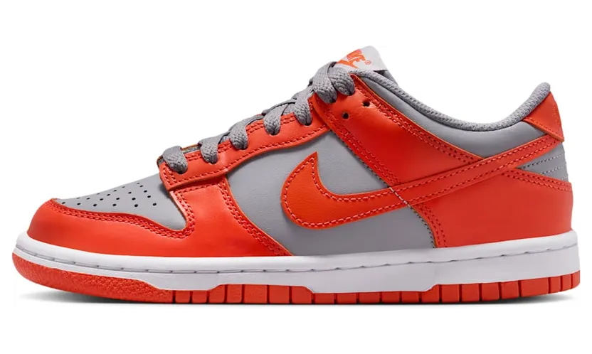 Nike Dunk Low Cement Grey Team Orange (FB9109-011)