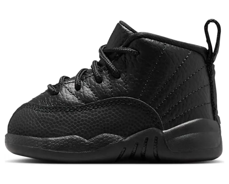 Air Jordan 12 850000-003