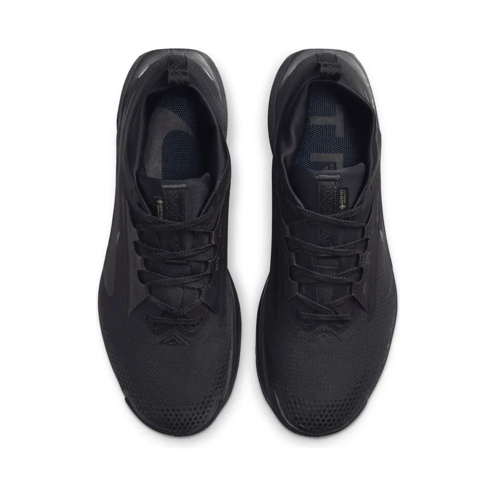 Nike React Pegasus Trail 5 Gore-Tex Black Anthracite (FQ0908-002)